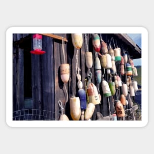 Fishing Buoys in Orcas Island, Washington Sticker